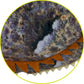 die-spiegelburg-horneidechse--nature-CC0373062.jpg