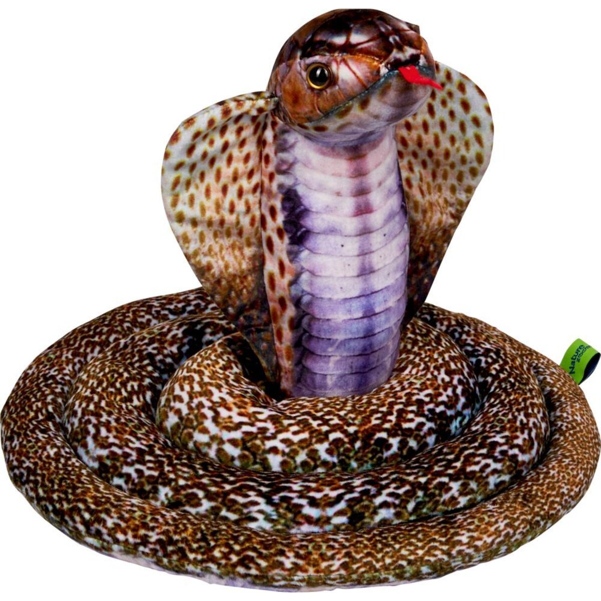 die-spiegelburg-kobra---8EA34B5D1.jpg