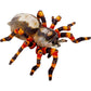 die-spiegelburg-spinne---8EA34E871.jpg