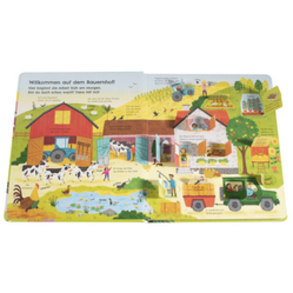 dk-verlag-aufgeklappt-und-viel-4029E8113.jpg