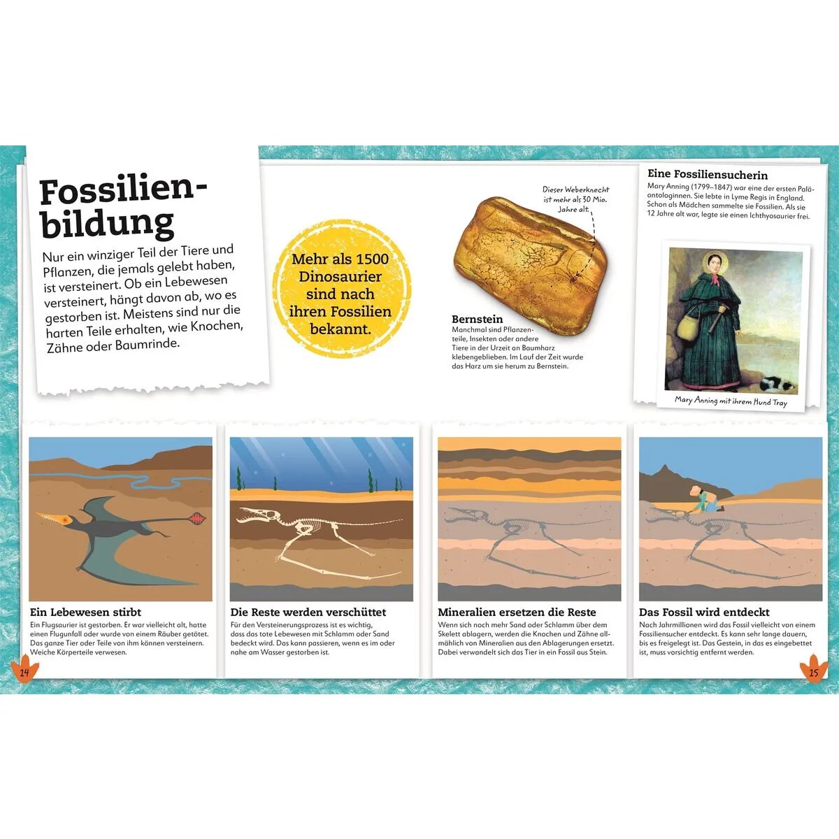 dk-verlag-dinosaurier---BC538A5B3.jpg