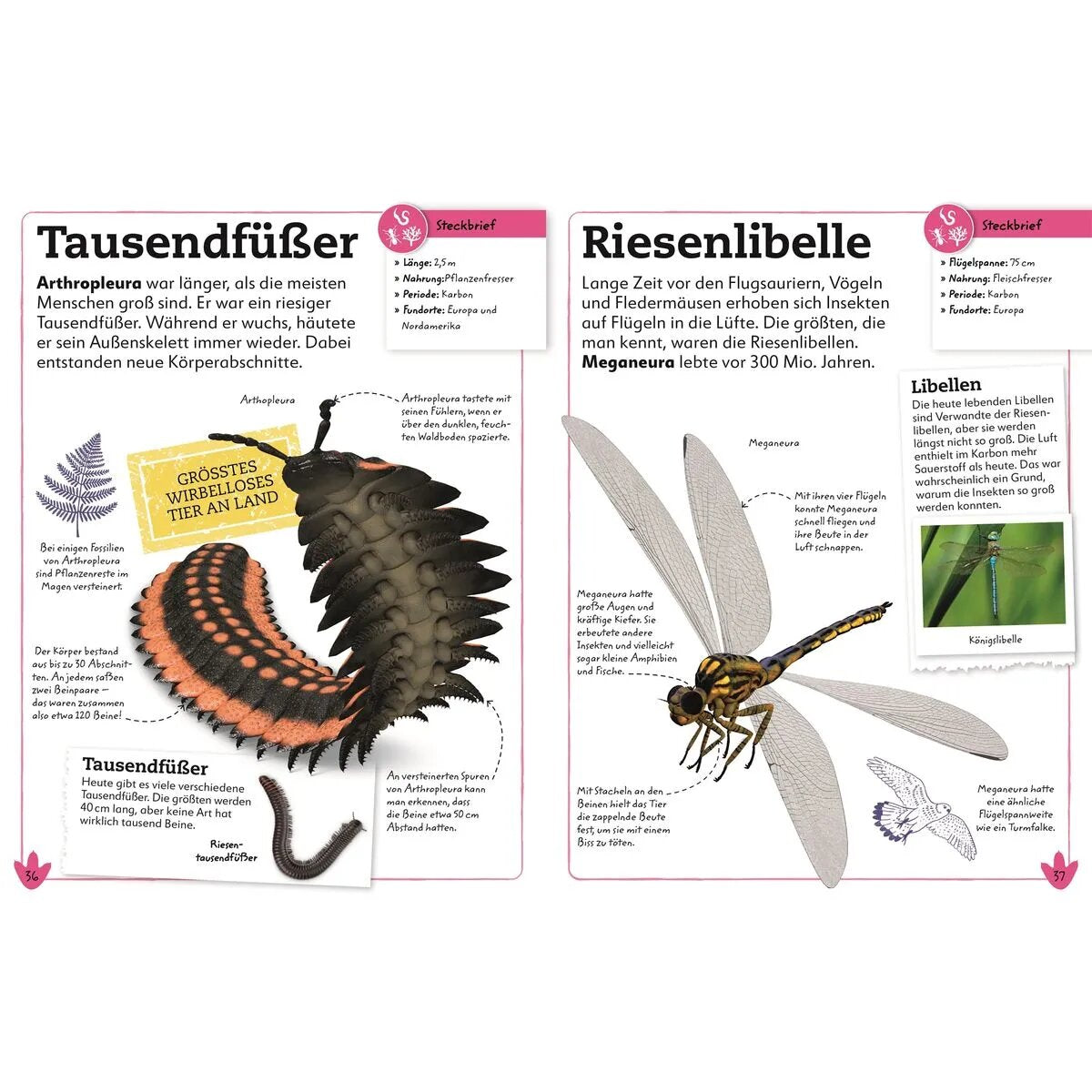 dk-verlag-dinosaurier---BC538A5B4.jpg