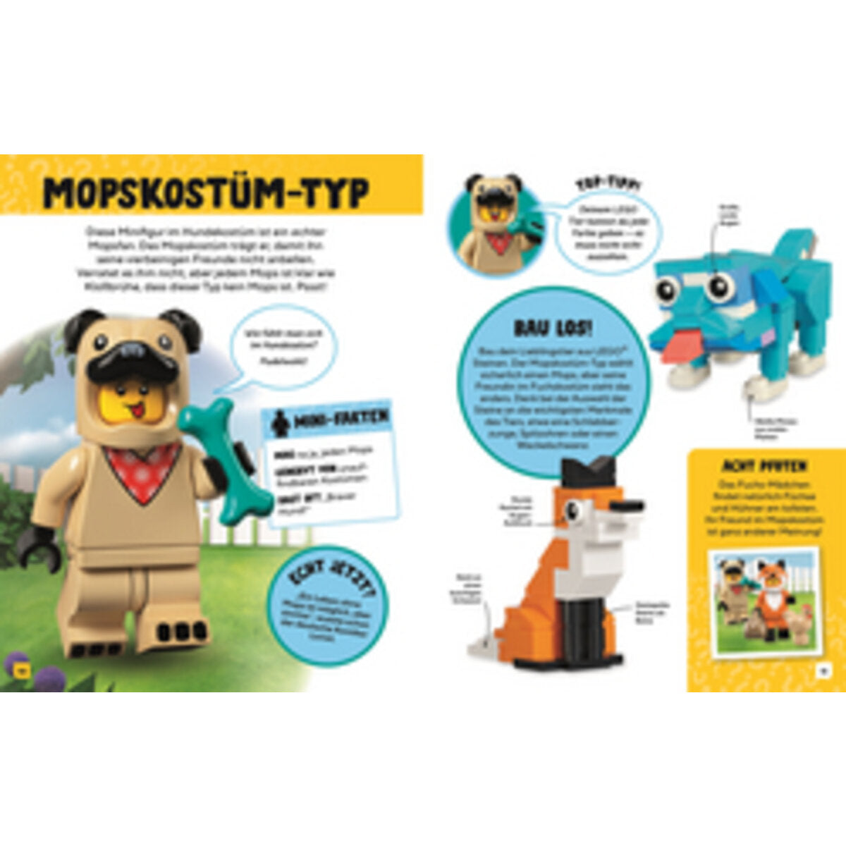 dk-verlag-lego-die-welt-6711FAB53.jpg