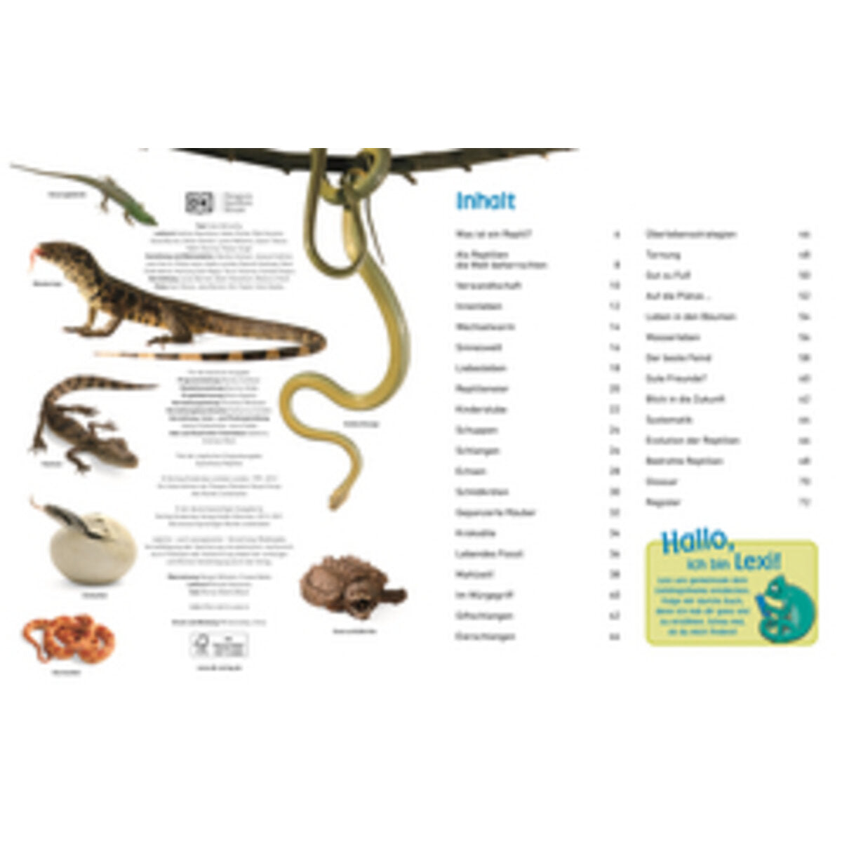 DK Verlag memo Wissen entdecken. Reptilien