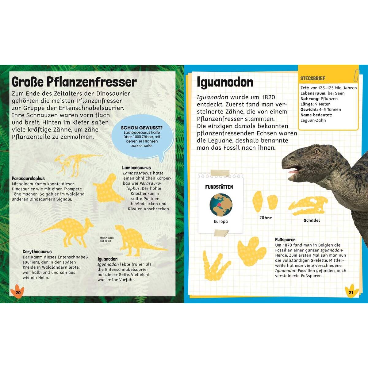 dk-verlag-sticker-lexikon-dinosaurier-C5690BC02.jpg