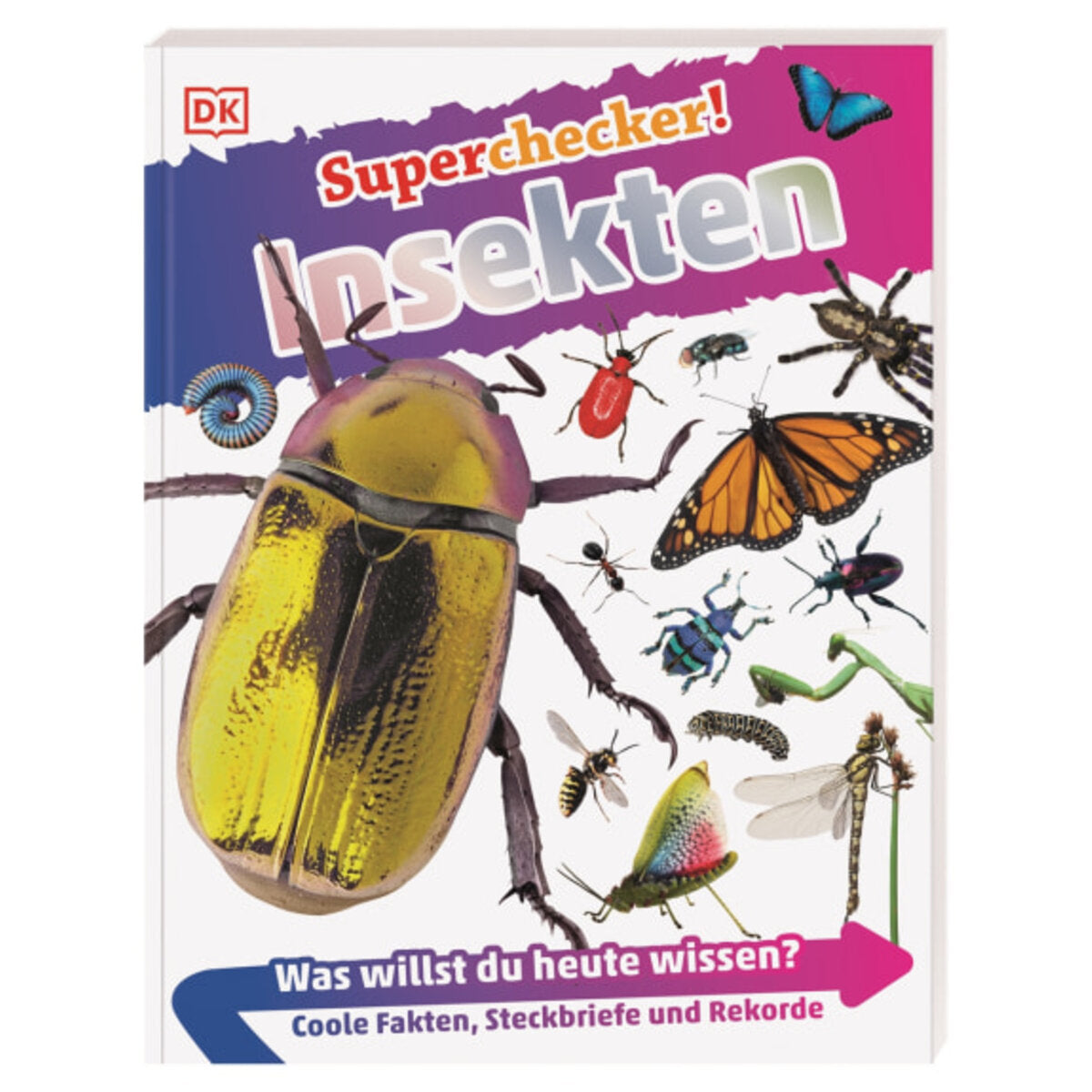dk-verlag-superchecker-insekten-E2B703D41.jpg