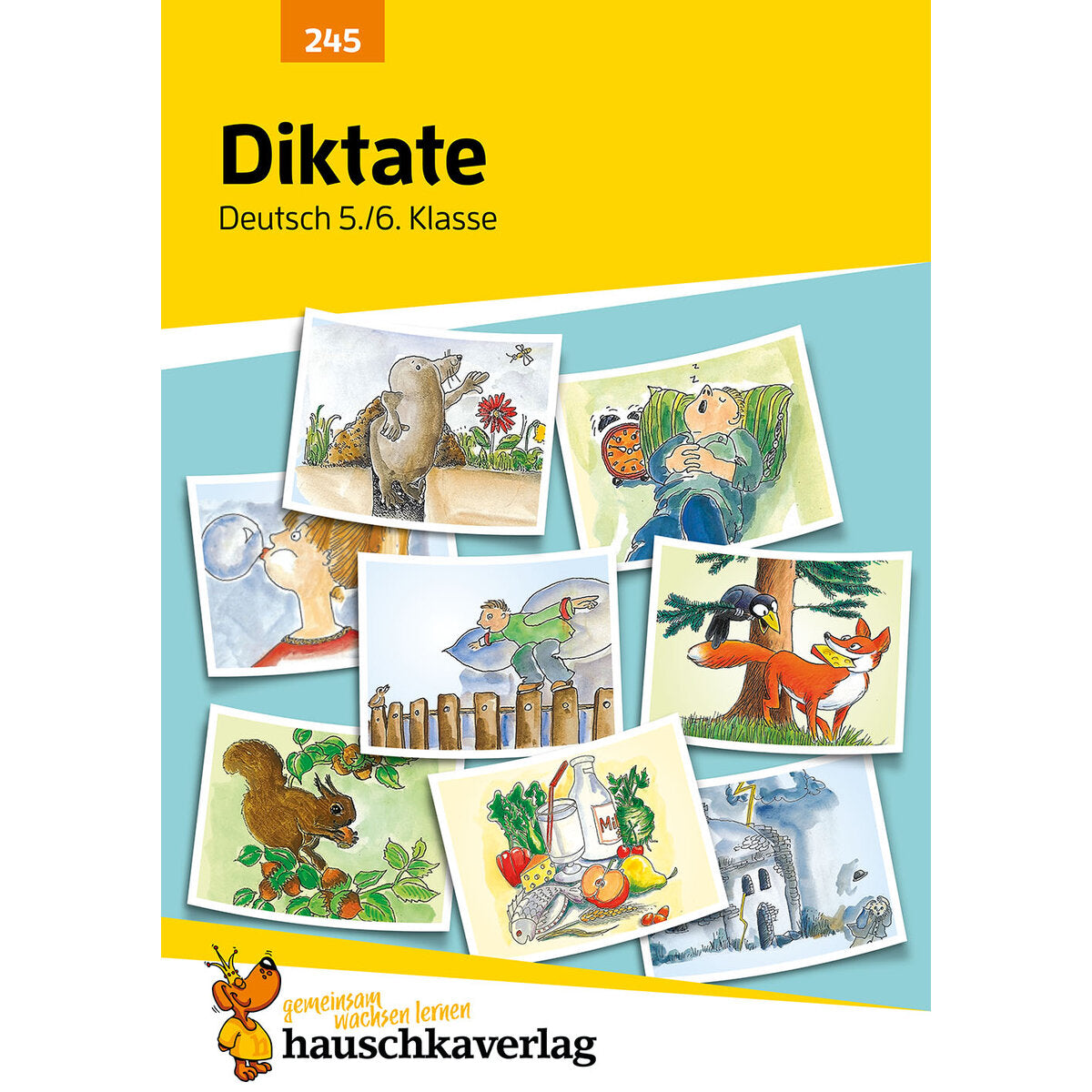 hauschka-verlag-diktate-56-klasse-1A7F5DFC3.jpg