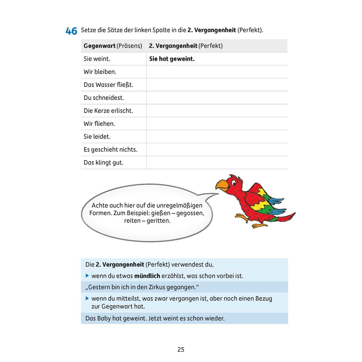 hauschka-verlag-grammatik-4-klasse-978B5BA16.jpg