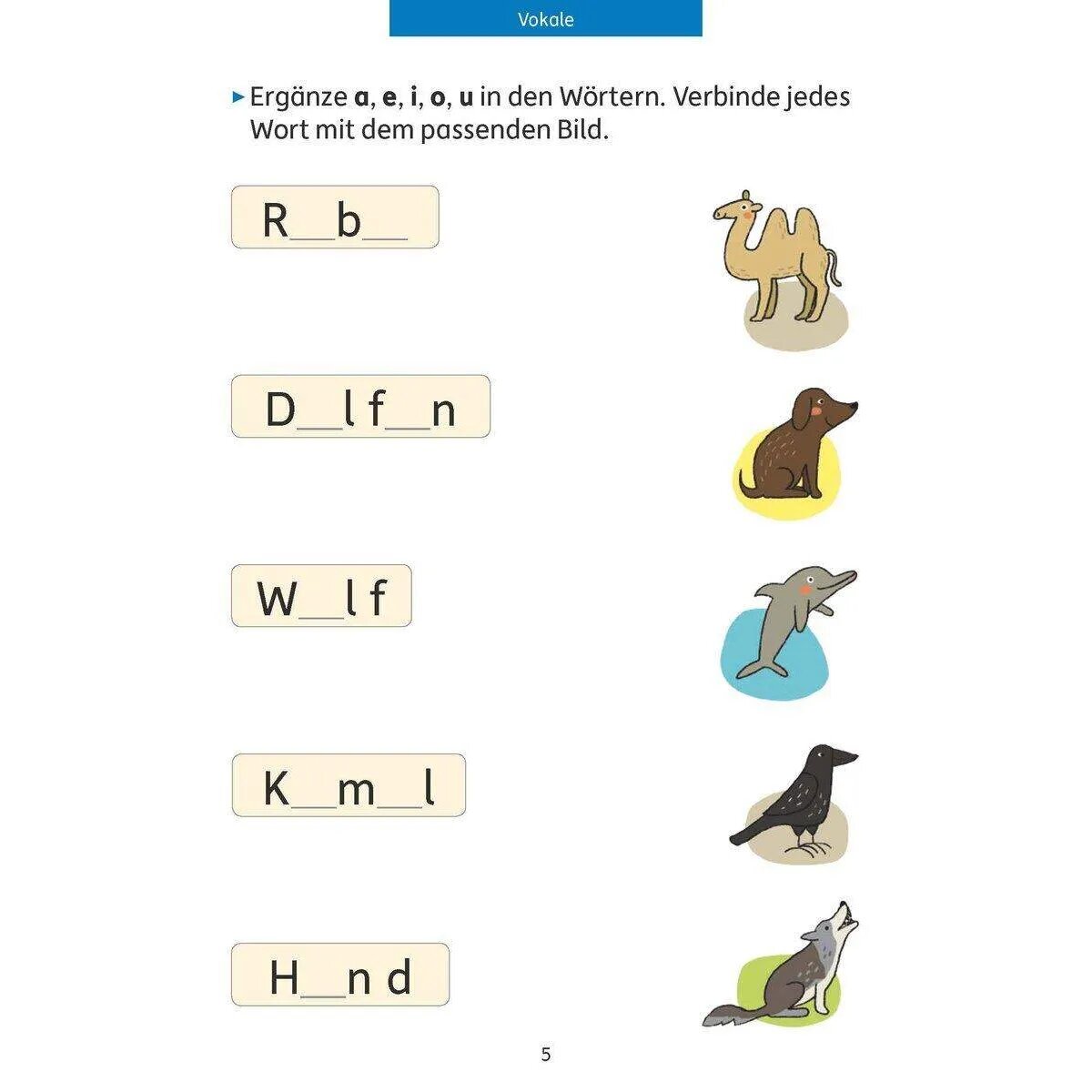 hauschka-verlag-quer-durch-die-3D724C622.jpg