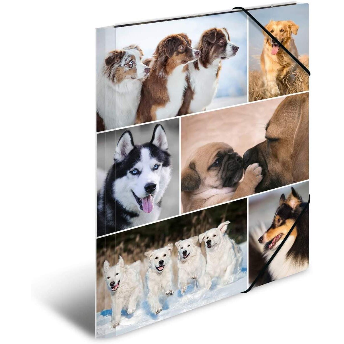 herma-sammelmappe-karton-hunde-a4-CA50BB301.jpg