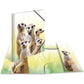 herma-sammelmappe-pp-a3-exotische-8D4E9CDE2.jpg