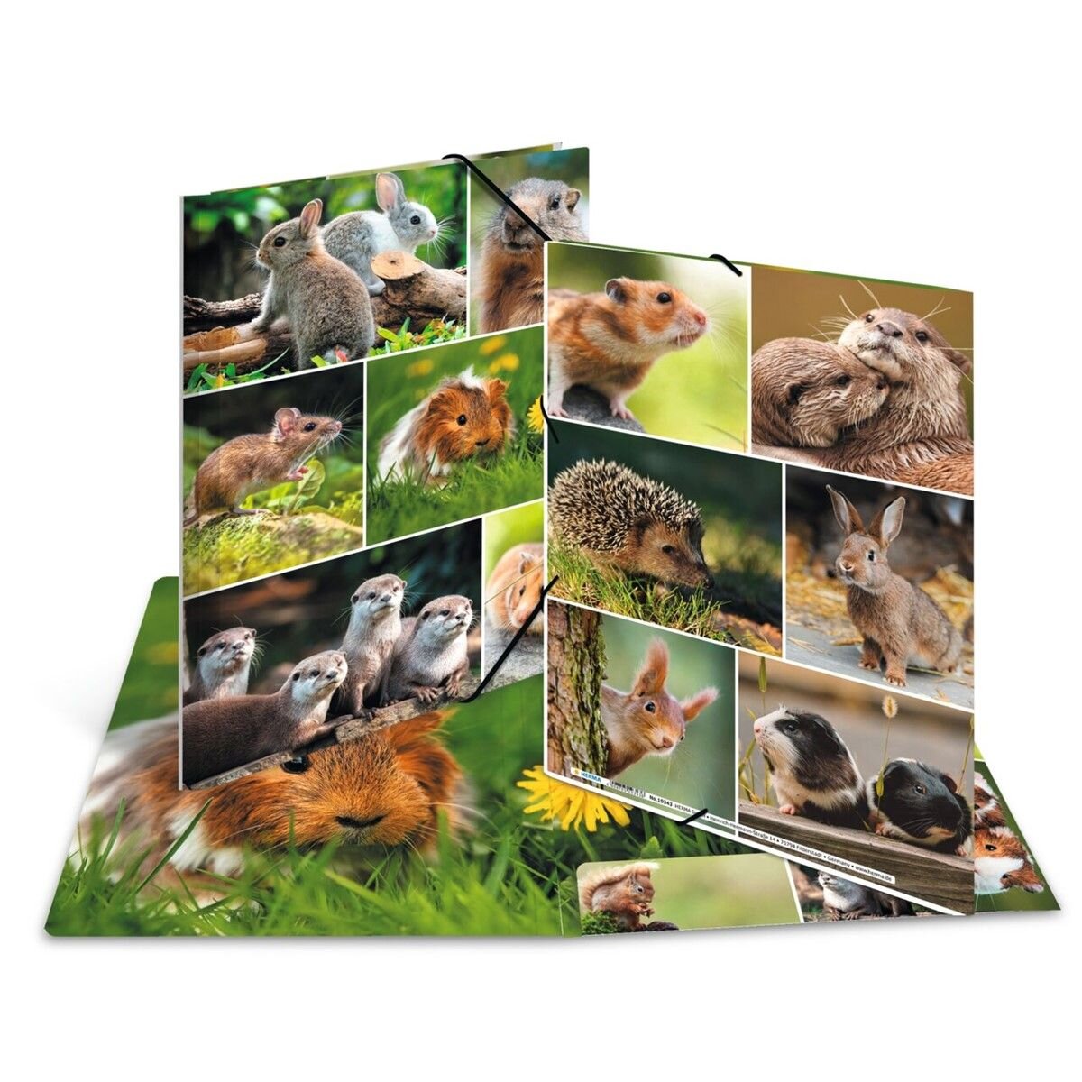 herma-sammelmappen-a4-karton-nagetiere-6001F62B1.jpg
