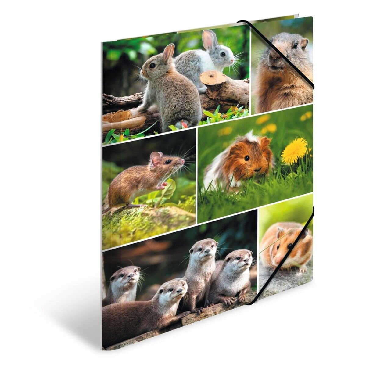 herma-sammelmappen-a4-karton-nagetiere-6001F62B2.jpg