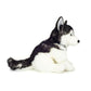hermann-teddy-91976-husky-sitzend-6BE86F583.jpg