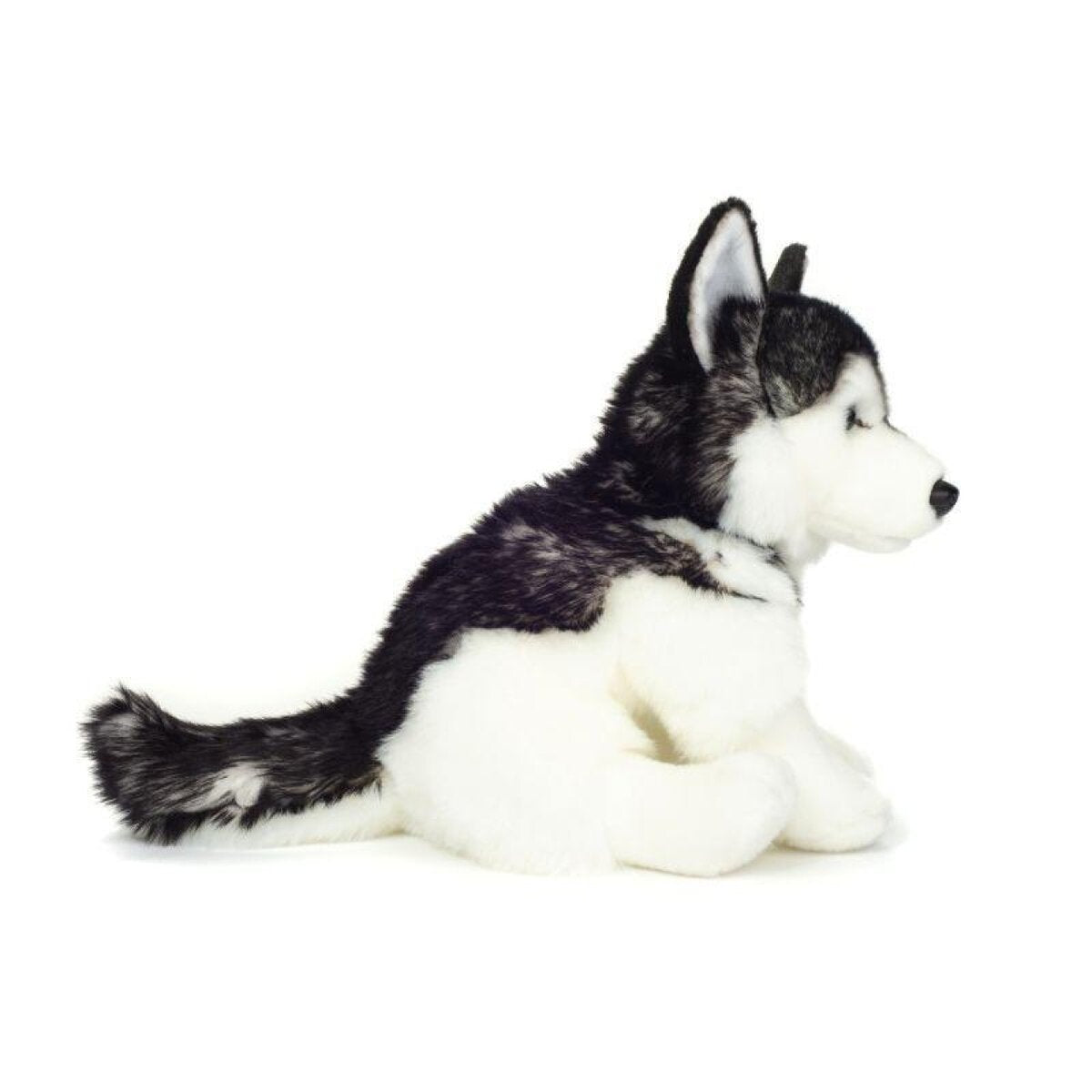 hermann-teddy-91976-husky-sitzend-6BE86F583.jpg
