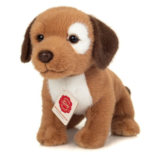 hermann-teddy-91996-hundewelpe-milow-9B4DAF721.jpg