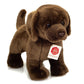 hermann-teddy-91997-labrador-braun-76FF0E0C1.jpg