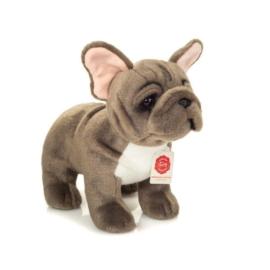 hermann-teddy-91999-franzoesische-bulldogge-85AC237B1.jpg