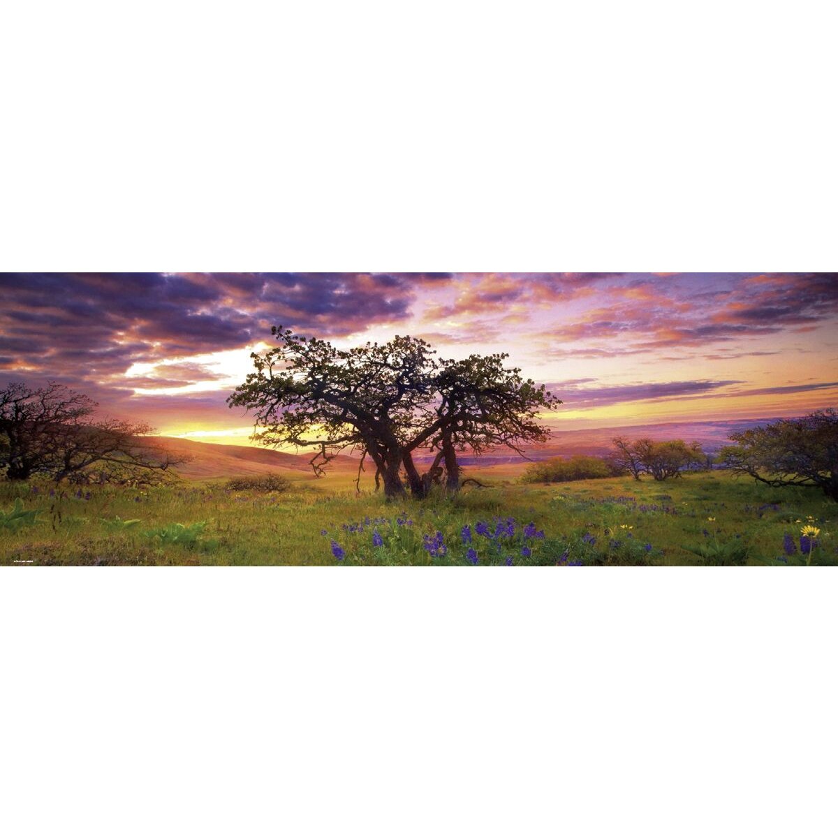 heye-puzzle---oak-F61C9CDF2.jpg