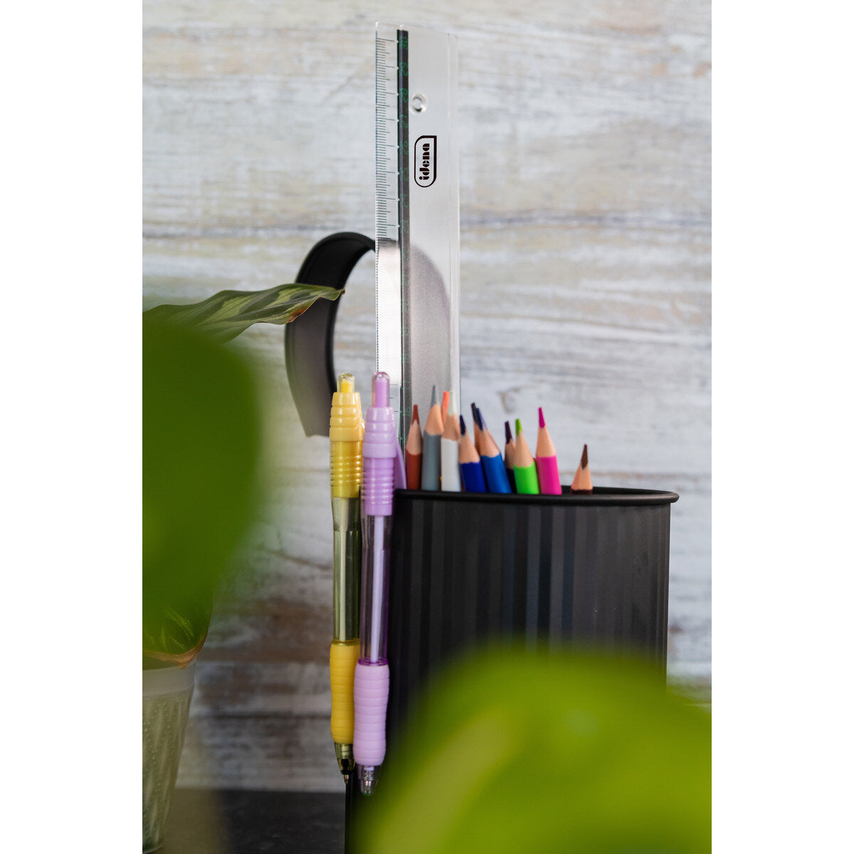 idena-kunststoff-lineal-30-cm-F72157395.jpg
