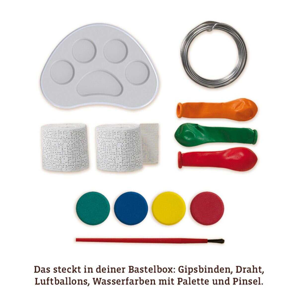 kosmos-alleskoennerkiste---gips-1E59977C3.jpg