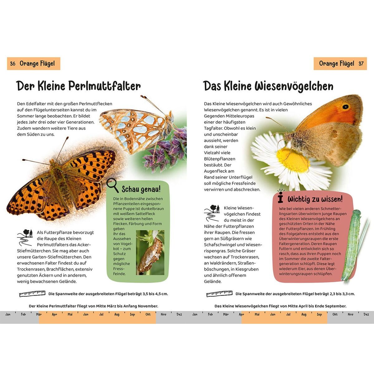 kosmos-kindernaturfuehrer---welcher-66C377A74.jpg