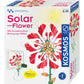 kosmos-solar-flower-7B90BB841.jpg