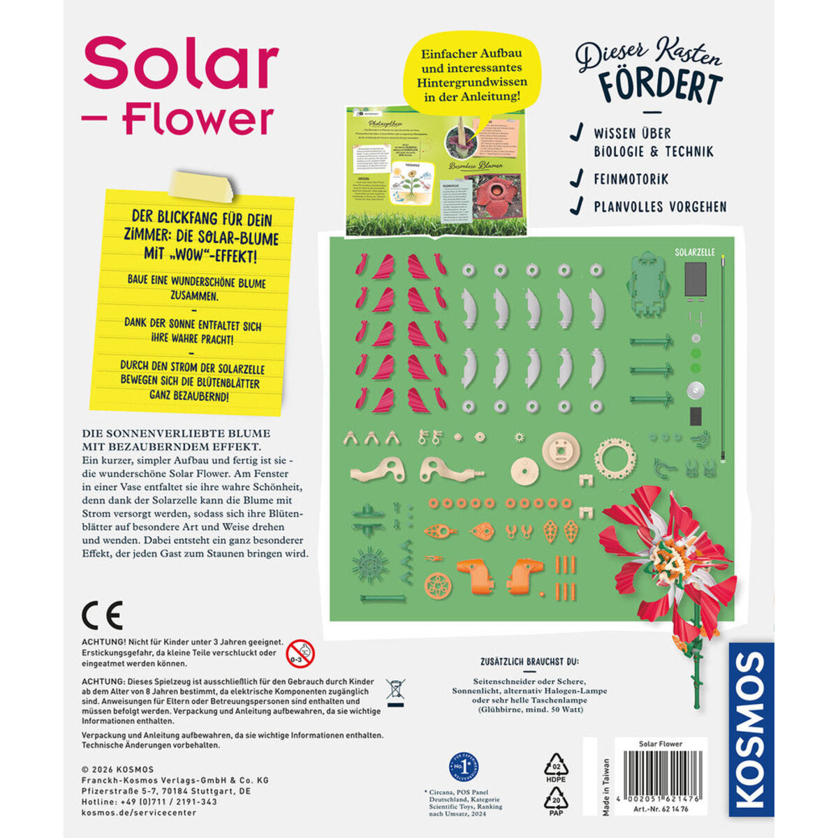 kosmos-solar-flower-7B90BB842.jpg