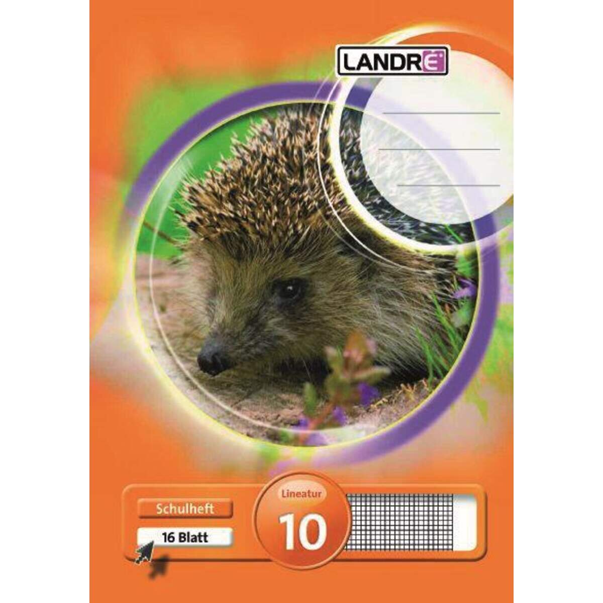 landre-schulheft-a5-kariert-liniatur-B1A4C33F2.jpg