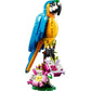 lego-creator-exotischer-papagei-4937DF9E3.jpg