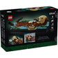 lego-ideas-21366-schwimmende-otter-14EAECA22.jpg