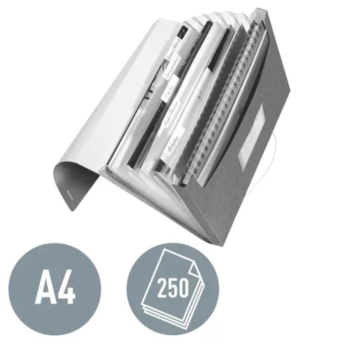 leitz-projektmappe-wow-din-a4-7587C6C02.jpg