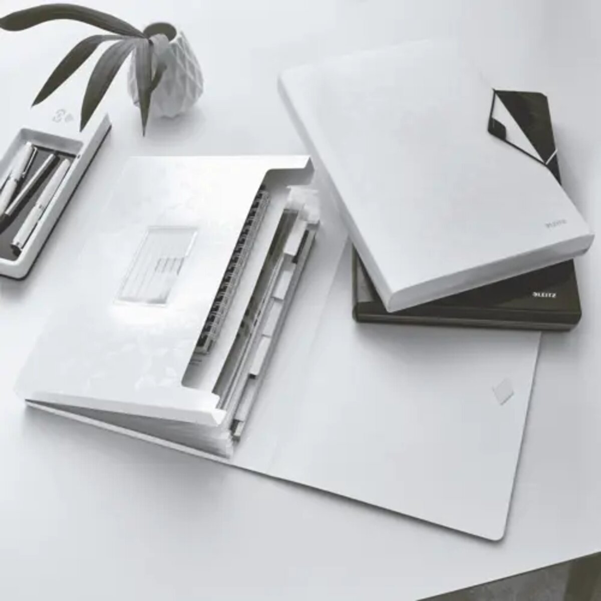 leitz-projektmappe-wow-din-a4-7587C6C04.jpg