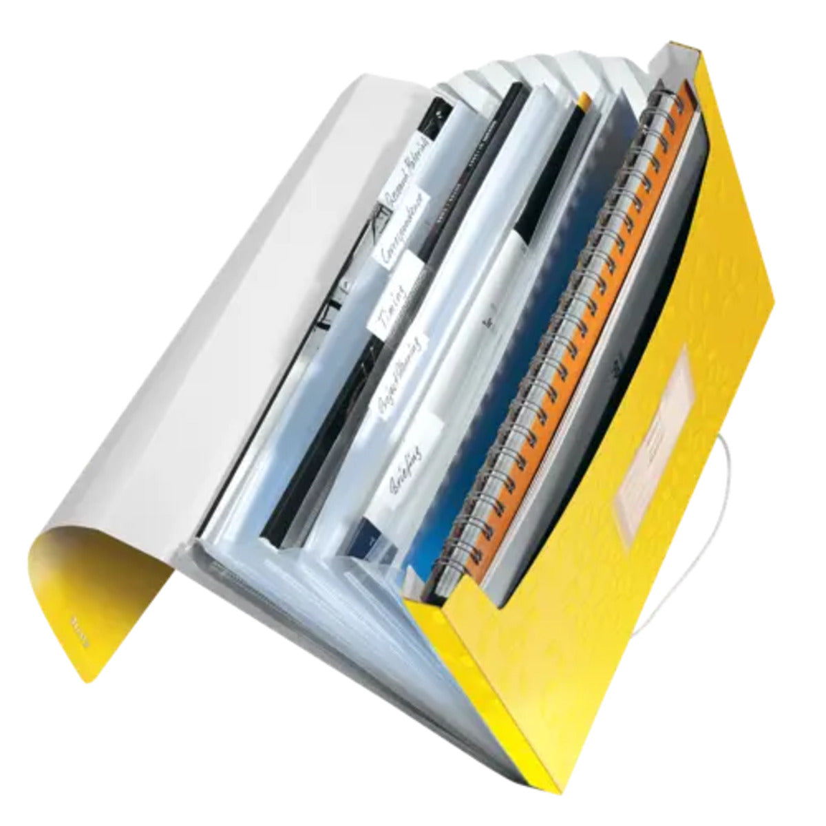 leitz-projektmappe-wwo-din-a4-7587BD051.jpg