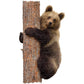 madd-capp-konturenpuzzle-junior-baer-46BDEAC02.jpg