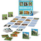 memory-tierkinder-A6B3F5433.jpg