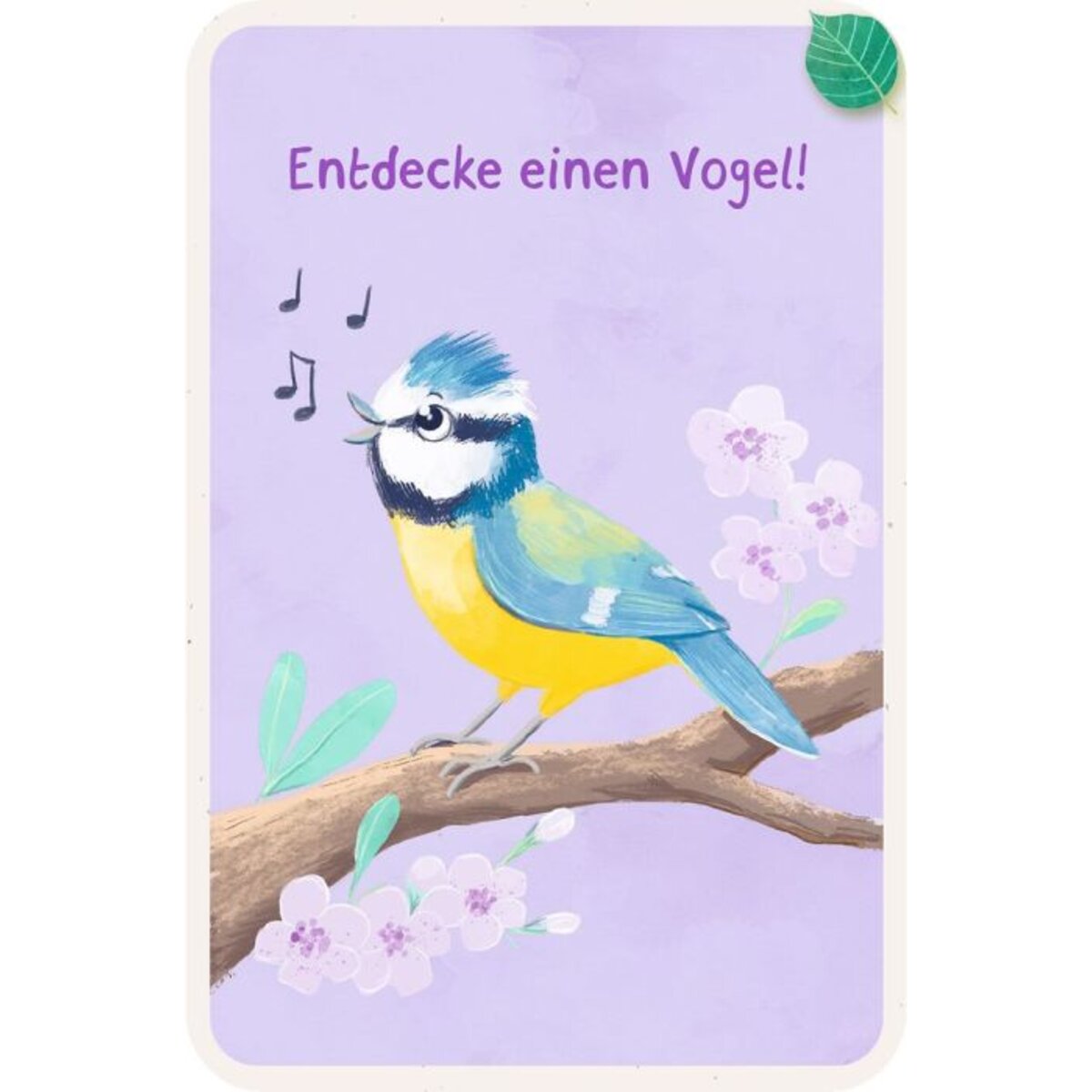 moses-30267-die-entdeckerkarten--41526F423.jpg
