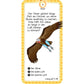 moses-das-quiz-der-tiere-767563DC4.jpg