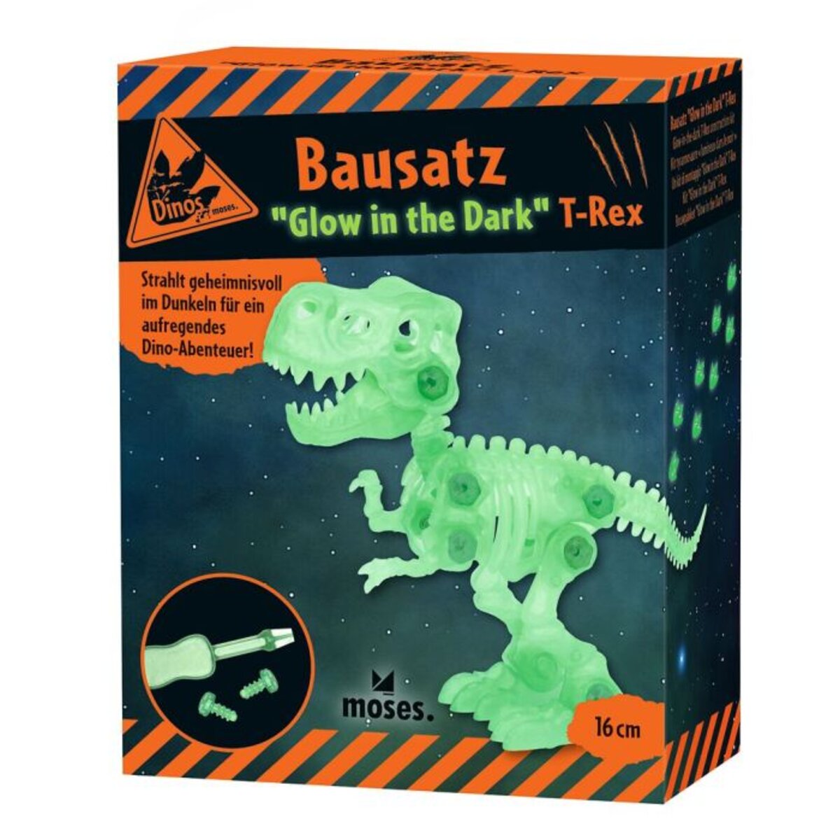 moses-dinosaurier-bausatz-glow-in-0B135C8E2.jpg