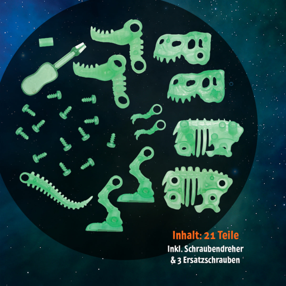moses-dinosaurier-bausatz-glow-in-0B135C8E6.jpg