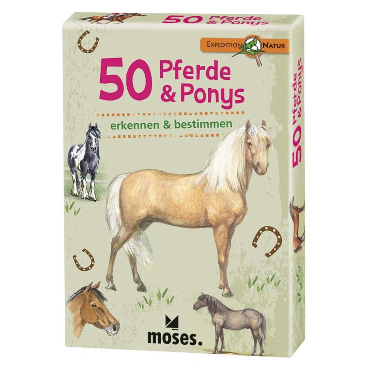 moses-expedition-natur-50-pferde-8484359D1.jpg