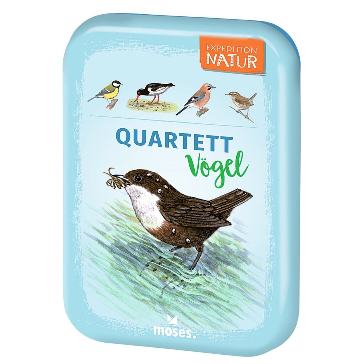 moses-expedition-natur-quartett-voegel-CAB340DA1.jpg