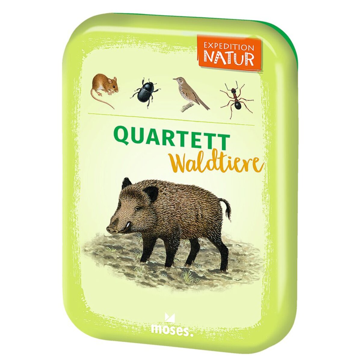 moses-expedition-natur-quartett-waldtiere-DD02E4681.jpg