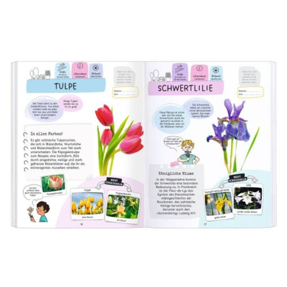 moses-expedition-natur-raetseln-stickern-EB5401F92.jpg