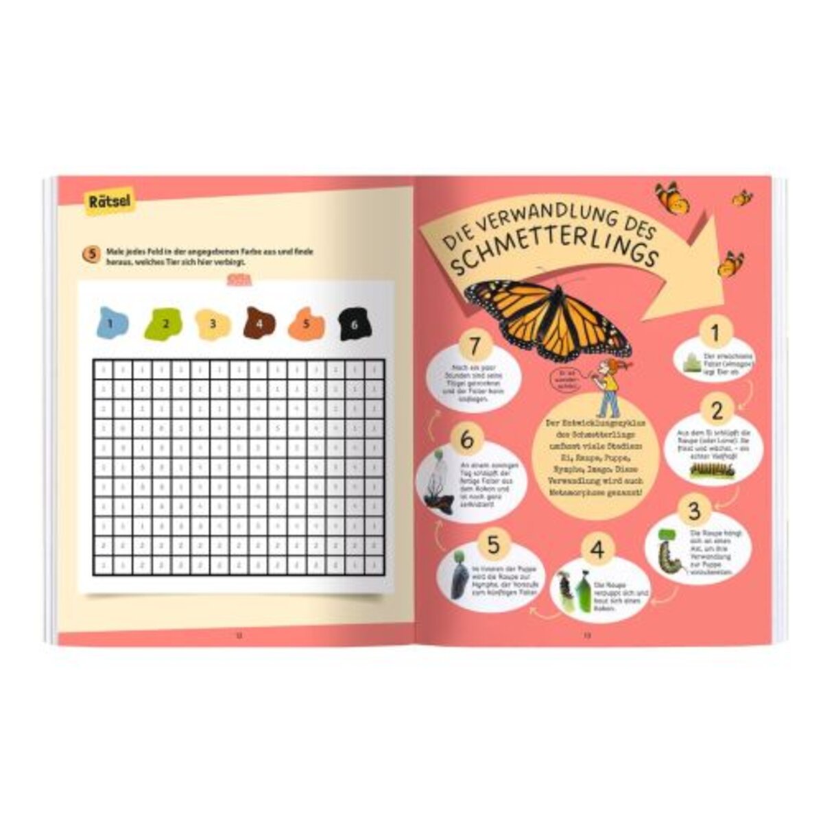 moses-expedition-natur-raetseln-stickern-EB545B9F2.jpg