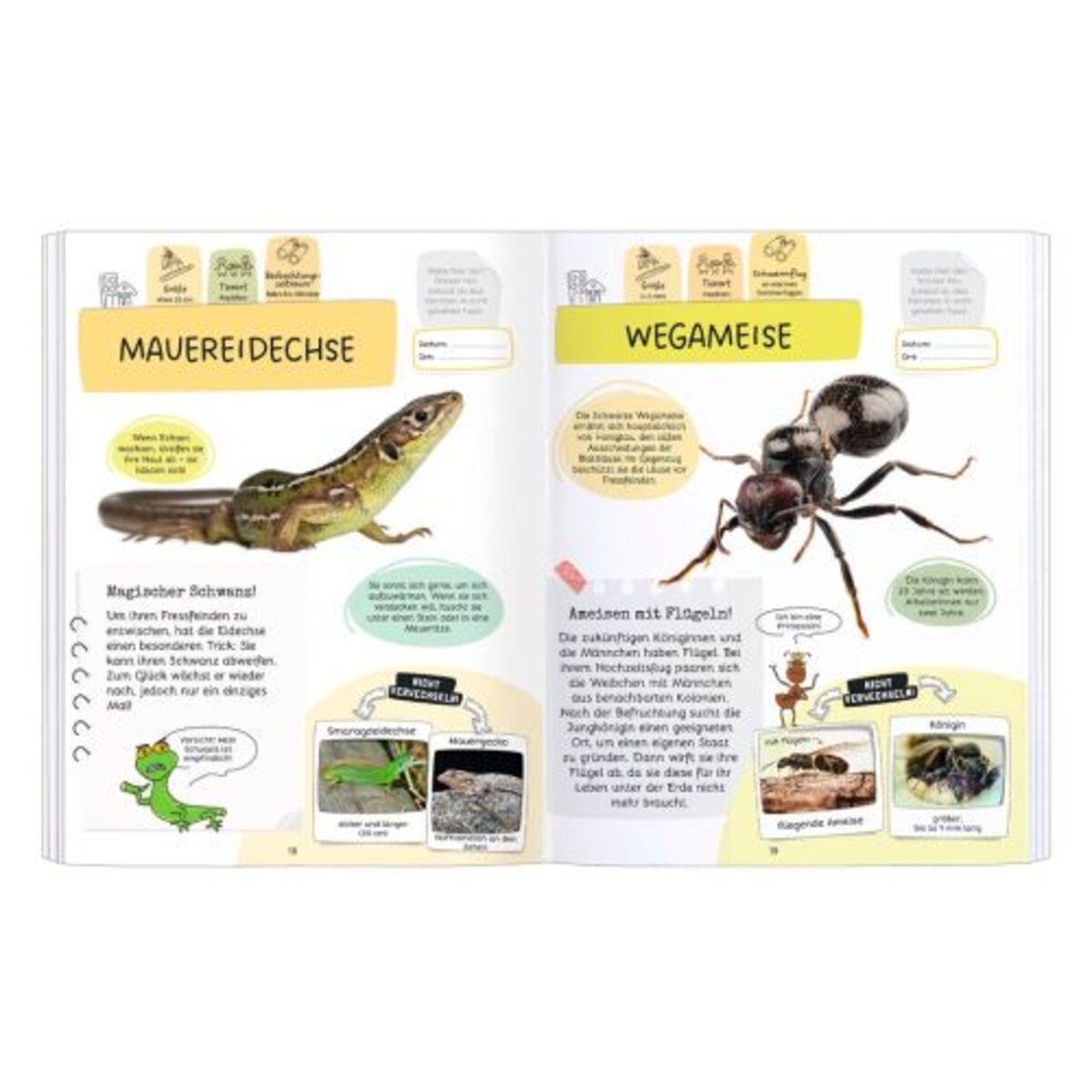 moses-expedition-natur-raetseln-stickern-EB545B9F3.jpg