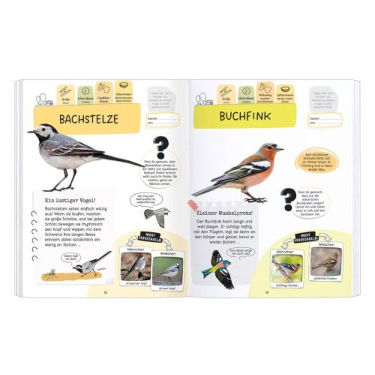 moses-expedition-natur-raetseln-stickern-EB5497E73.jpg