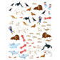 moses-mein-magisches-rubbelsticker-buch-494BE9B12.jpg