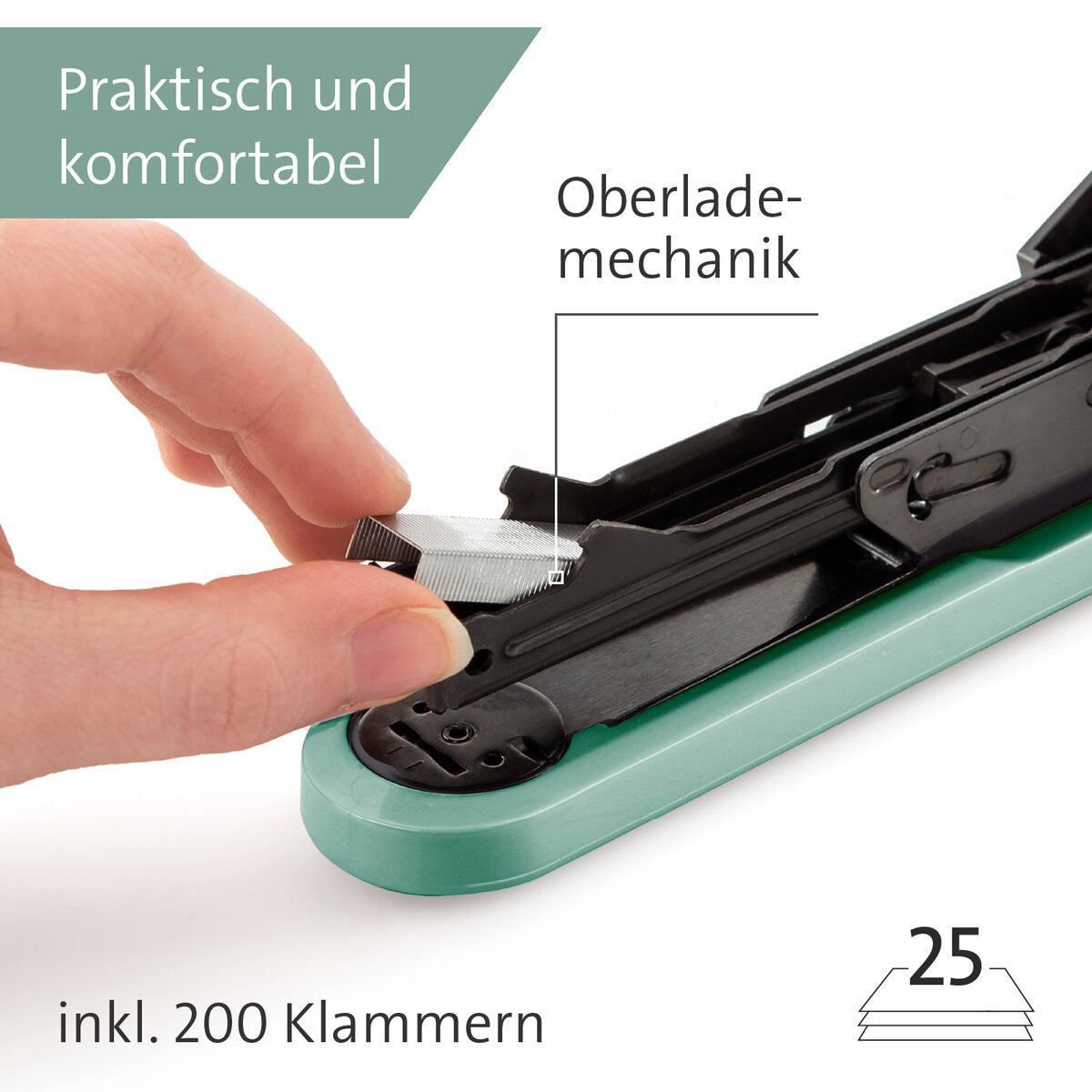 novus-b-2-color-id-66DFE56A4.jpg