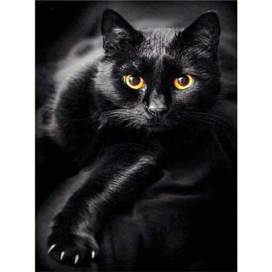 pracht-diamond-painting-schwarze-katze-48729ECF1.jpg
